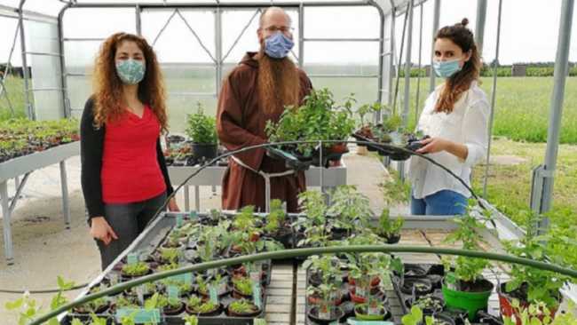 AROMATICHE BONFANTINI