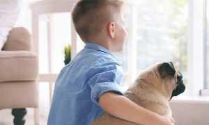 Anpana Novara scuole