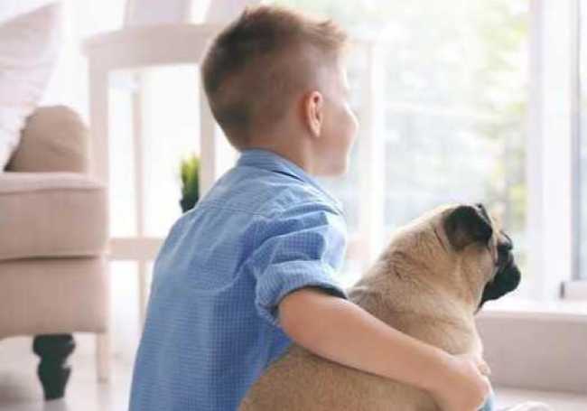 Anpana Novara scuole