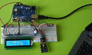 Bonfantini rilevatore