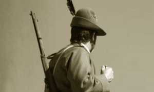 Commemorazione forze armate