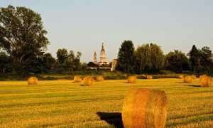 Concorso Novaresità