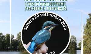 Fai Ali natura Casalbeltrame 