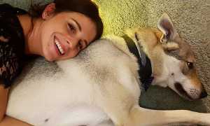 Francesca Grosso donazione