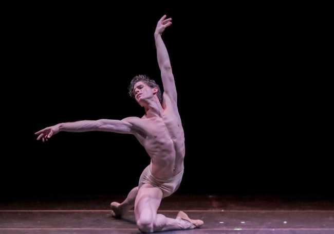 Gran gala cigno nero