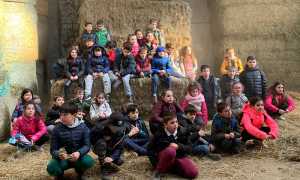 Granozzo cascine bambini