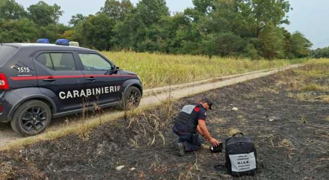 Intervento NIAB forestale