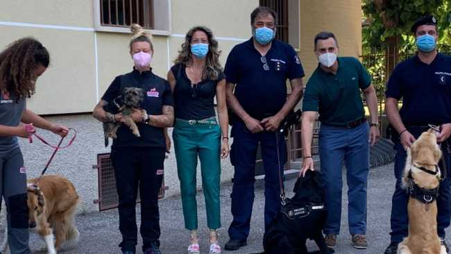 Novara al Sacro Cuore lezioni con i cani di Gogodogs