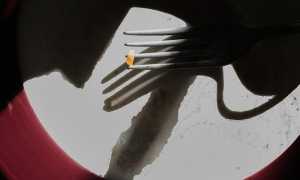 Novara mostra mercato