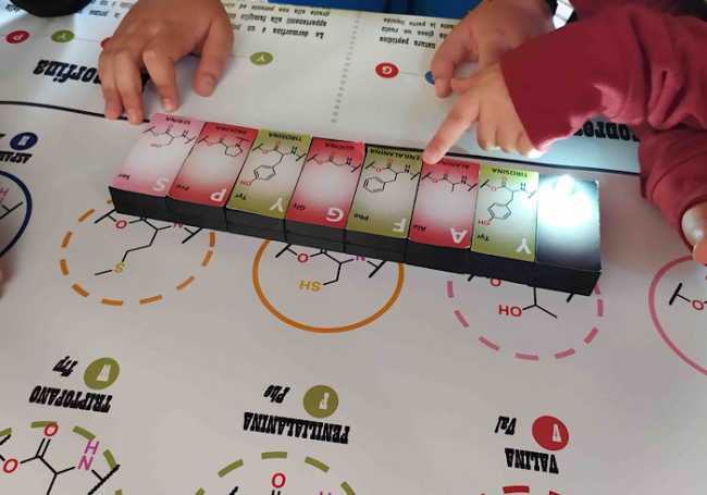 Novara scienza sotto cupola