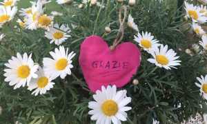 Novara visita casa riposo Orpea