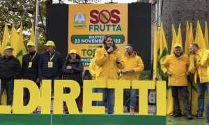 Sara Baudo sos frutta