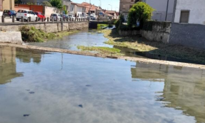 Schermata 2023 08 16 alle 16.34.05