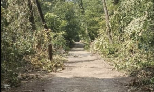 Screenshot 2023 08 14 alle 16.40.42