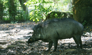 Screenshot 2024 08 11 alle 18.19.04