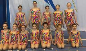 TWSC Girasoli COPERTINA