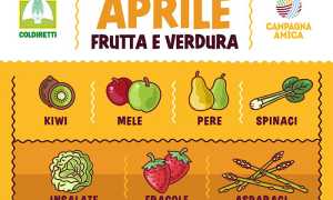 Trecate agrimercato