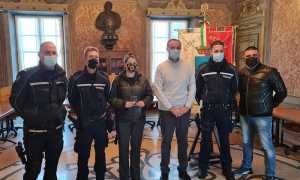 Trecate gradi agenti pl