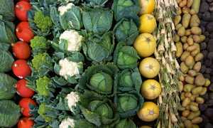Verdure mercato autunno