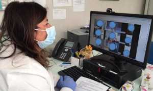 Videochat asl novara