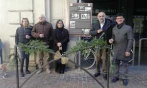 a spasso per trecate