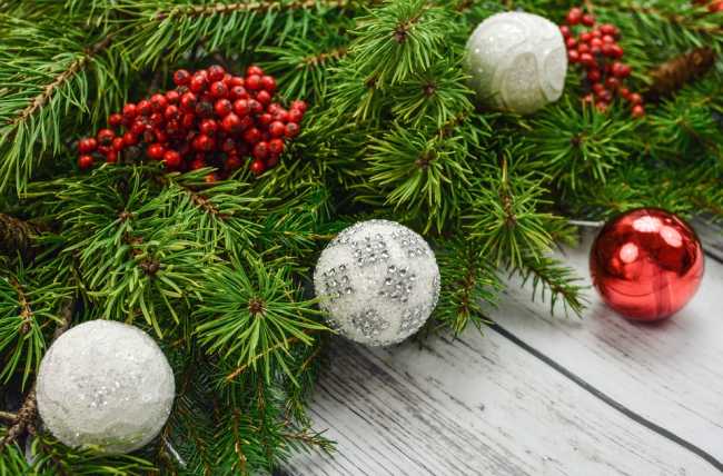 addobbo natale
