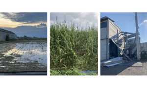 agricoltura maltempo