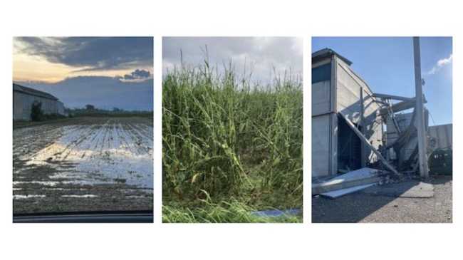 agricoltura maltempo