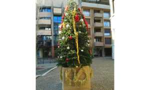 albero decorazioni ecol