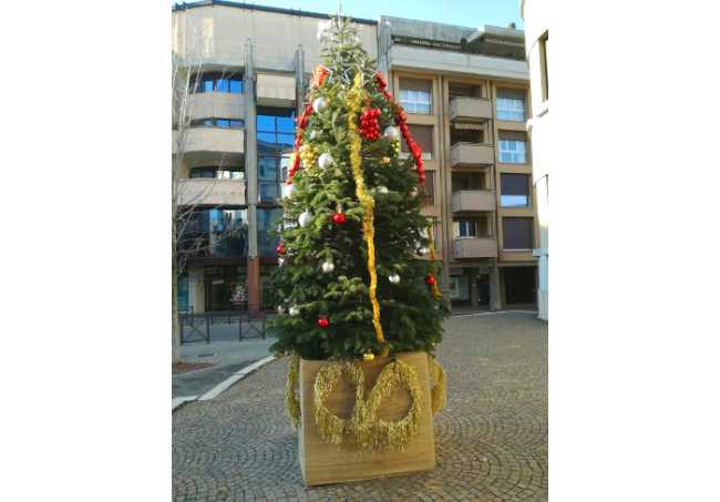 albero decorazioni ecol