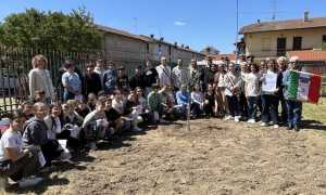 albero della legalita trecate 25