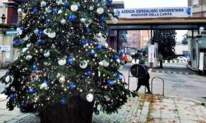 albero natale ospedale