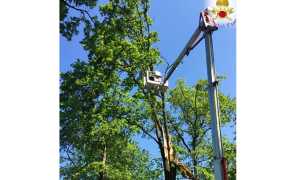 albero scala vigili fuoco