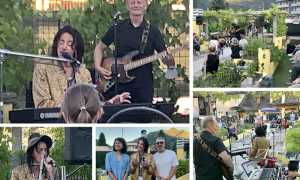 alberto fortis live domo Trapani