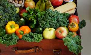 alimentazione foto