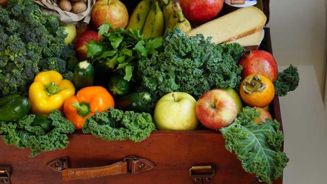 alimentazione foto