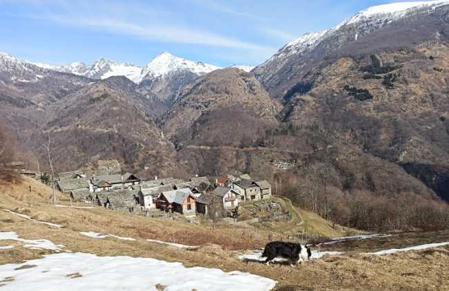 alpe manzano bognanco