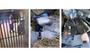 arresti polizia lug 25