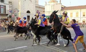 asini cameri repertorio