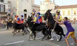 asini cameri repertorio