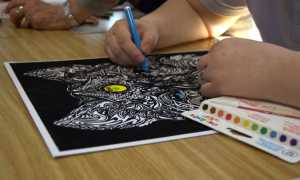 associazione timone novara