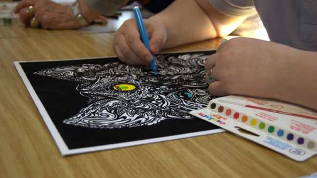 associazione timone novara