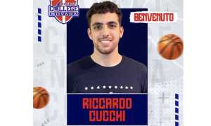 basket college novara cucchi