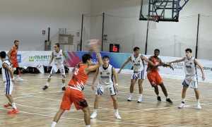 basket college novara repert 1
