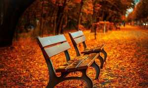benches g099f719c5 640