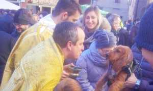 benedizione animali castelletto 17