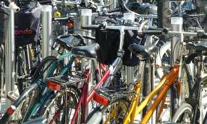 bici foto
