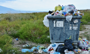 bidone rifiuti prato