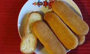 biscottini novara