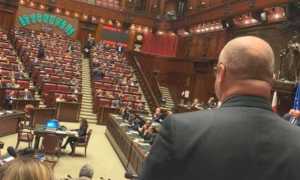 borghi spalle montecitorio